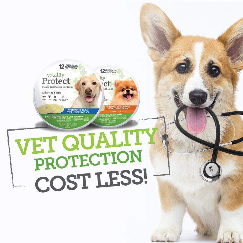 Vetality Protect Flea & Tick Collar for Dogs