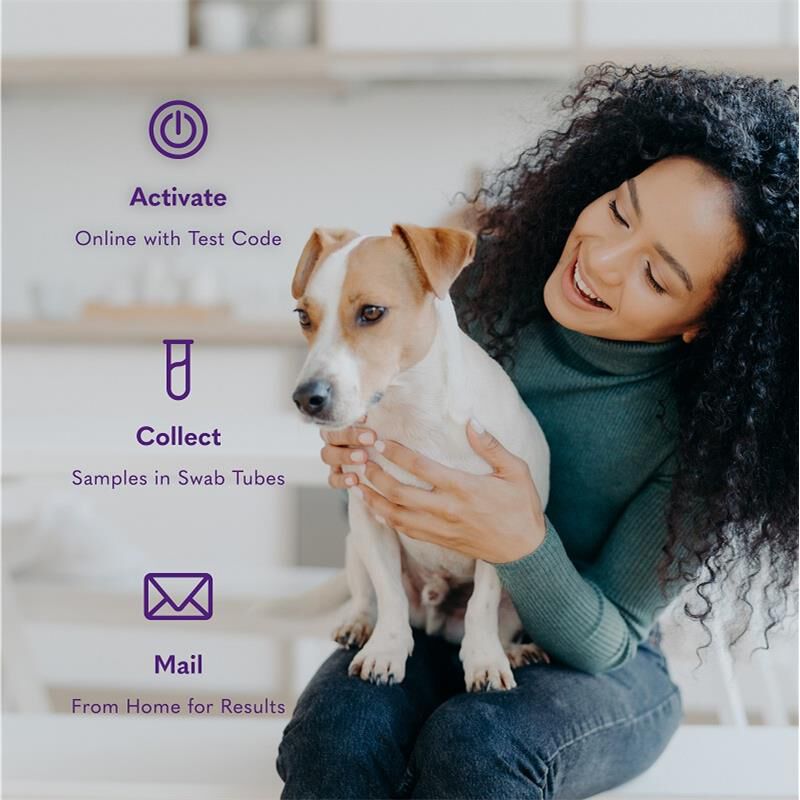 MySimplePetLab Ear Infection Dog Test Kit