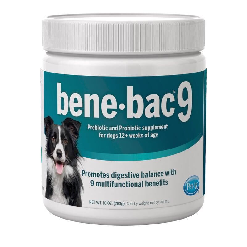 Dog Pobiotic Tablets and Supplements Giant Eagle Pet Pharmacy