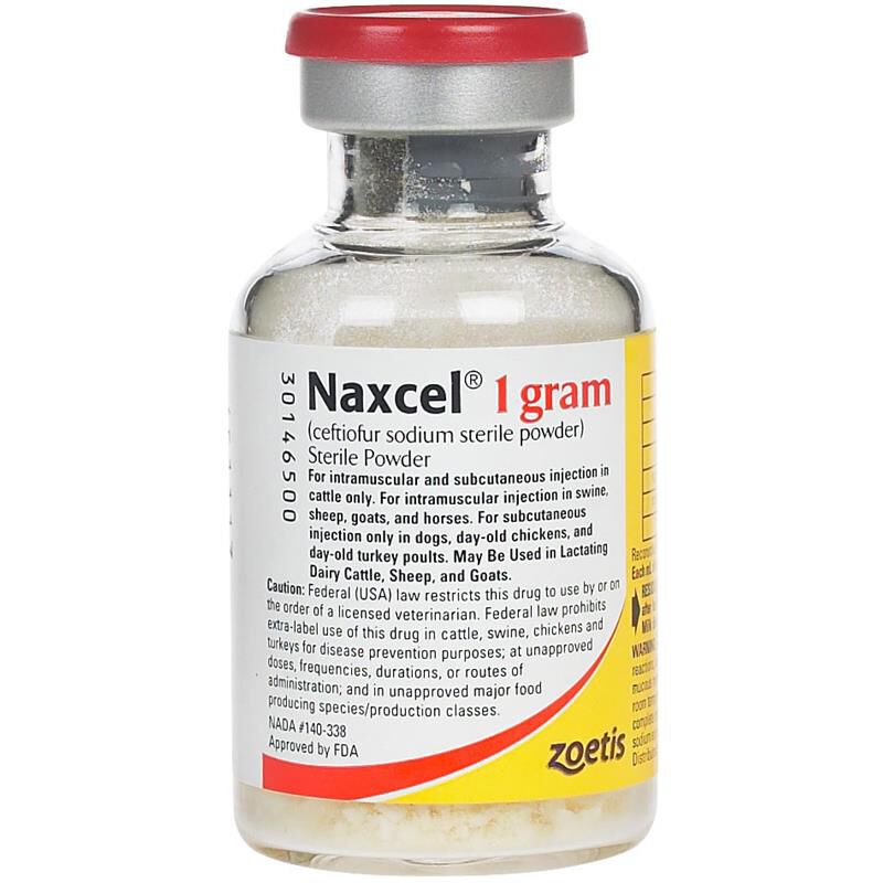 NAXCEL