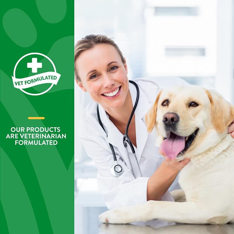Enzymes plus for dogs best sale