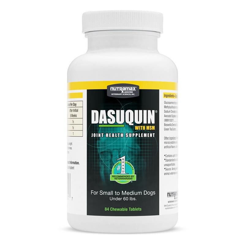 Dasuquin with MSM for Dogs