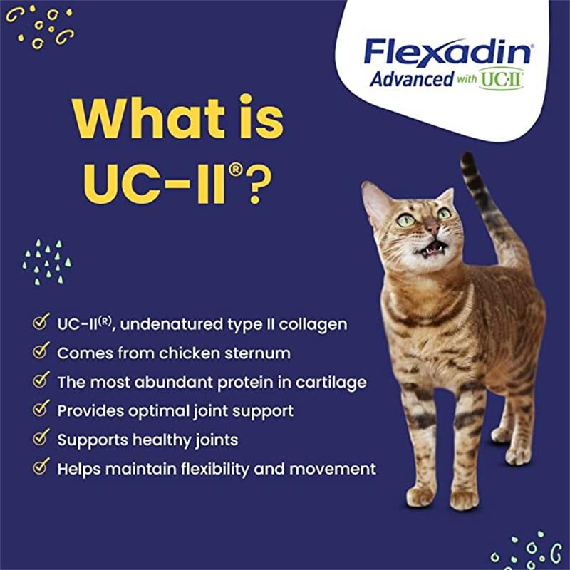 Flexadin advanced uc ii discount