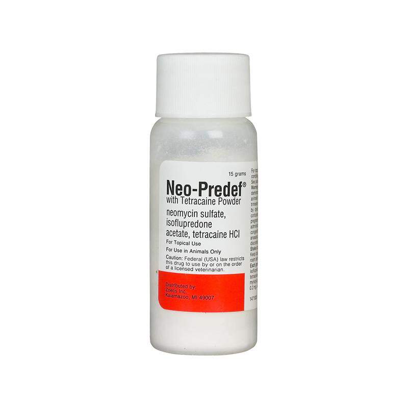 Neo-Predef with Tetracaine Topical Powder 15gm