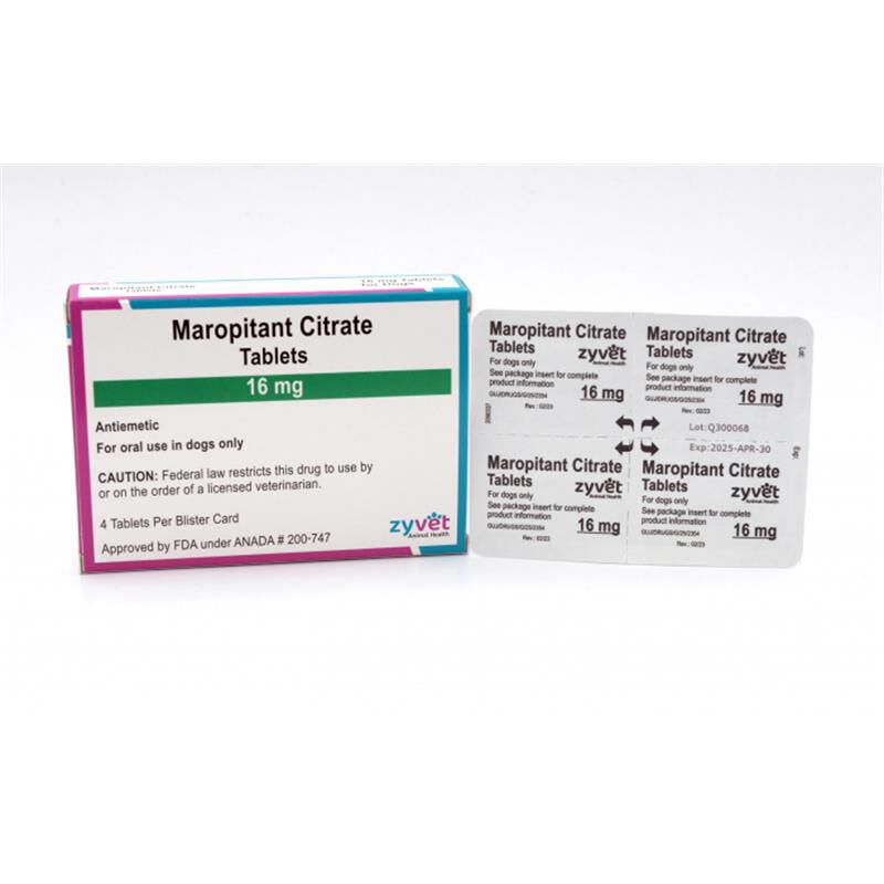 Maropitant citrate shop for dogs