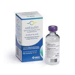 Vetsulin Insulin for Dogs and Cats