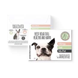 DNA My Dog Allergy Test My Pet Dog Kit