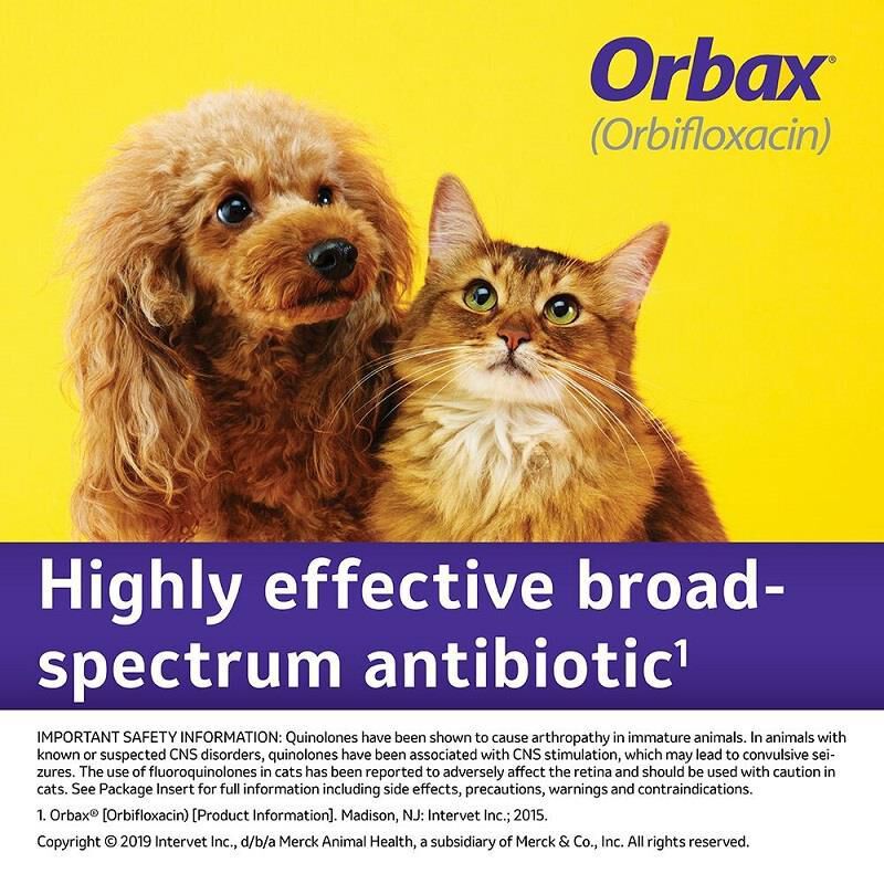 Orbax Tablet