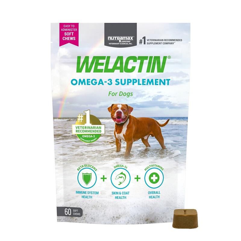 Welactin Omega-3 Skin & Coat Health plus Overall Wellness Supplement for Dogs, 60 Soft Chews