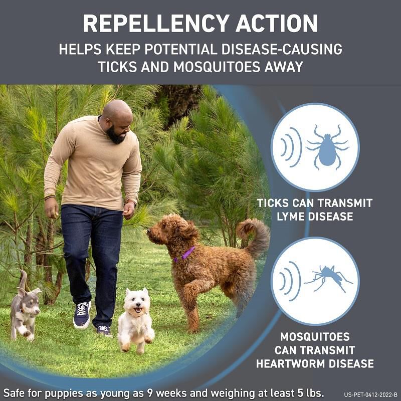 Frontline gold for sale dogs side effects