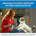 Cosequin Senior Maximum Strength Joint Health Supplement for Dogs, 120 Soft Chews