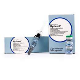 Hyalovet (Hyaluronate Sodium) Injection 20 mg/2 ml (10 mg/ml)