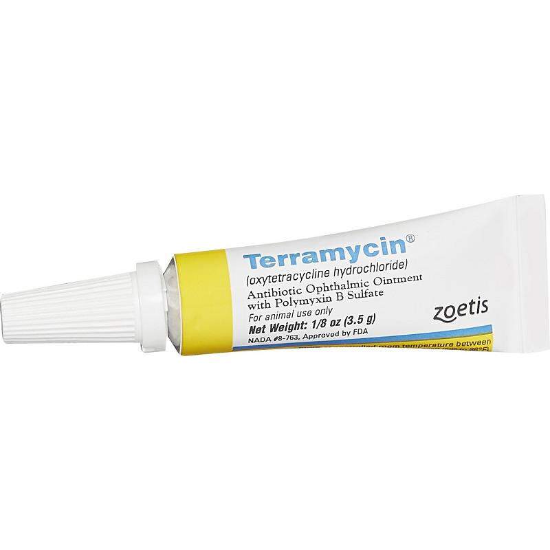 Zoetis Terramycin Ophthalmic Ointment for Dogs, Cat, and Horses with Superificial Ocular Infections, 1/8 ounce