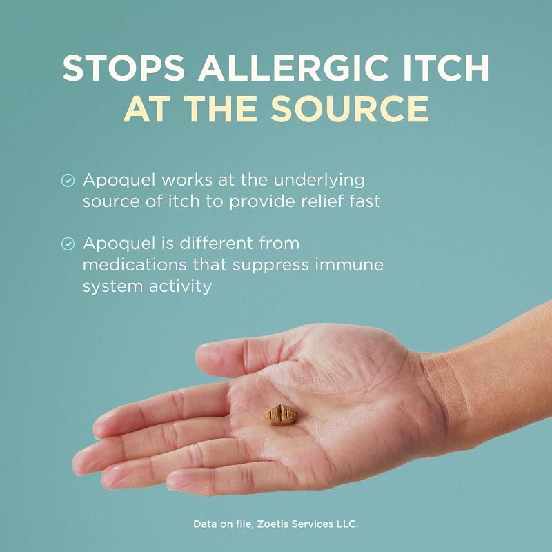 Apoquel immune system discount