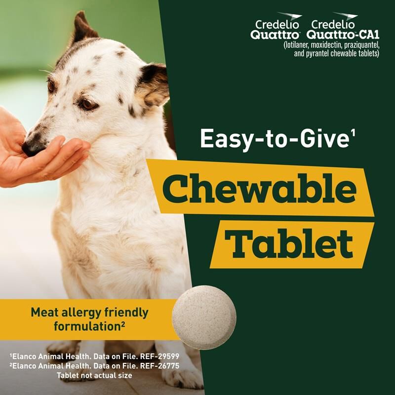 Credelio Quattro Flavored Chewable Tablet for Dogs & Puppies 3.3-6 lbs Yellow 12 Month Supply