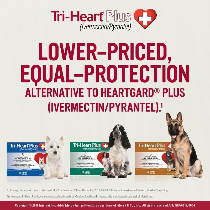 Tri-Heart Plus Chewable Tablets for Dogs Giant Eagle Pet Pharmacy