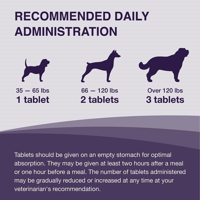 Denamarin Large Dogs 30 Ct. (Bottle)