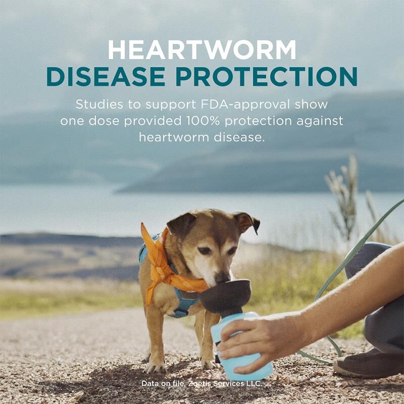 Simparica Trio Chewable Tablets for Dogs | Giant Eagle Pet Pharmacy