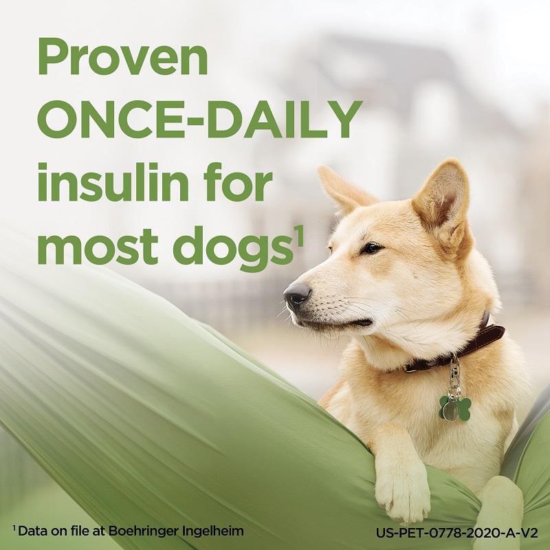 ProZinc Insulin for Dogs and Cats, 10 ml Vial