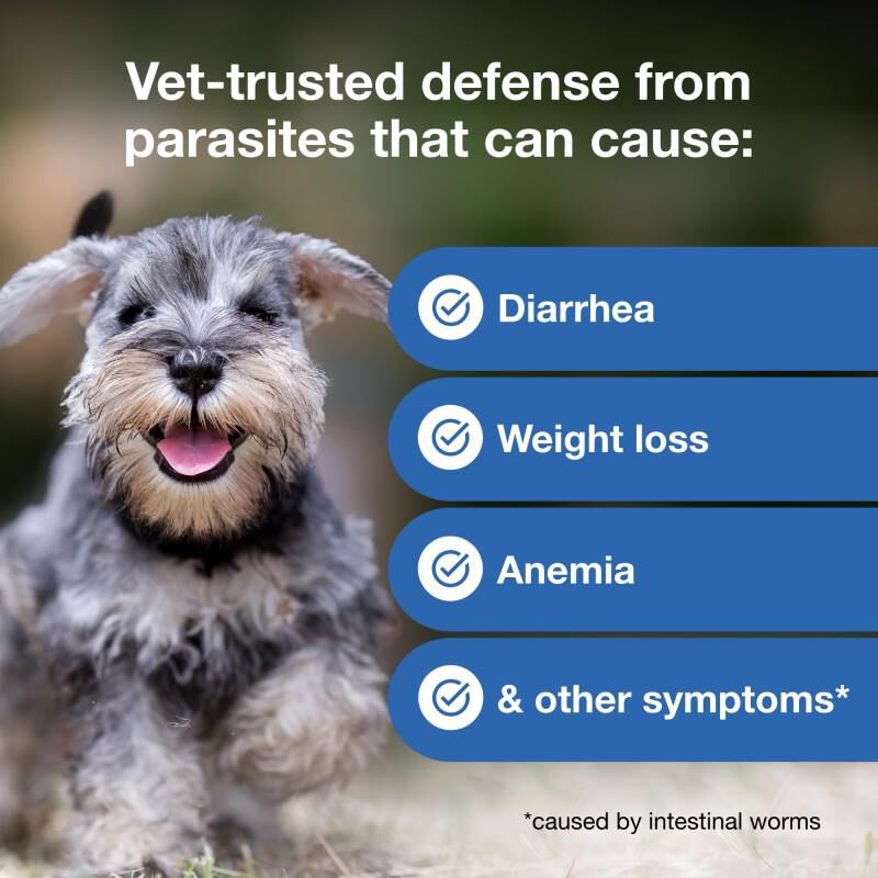 Interceptor Plus Chewable Tablets for Dogs