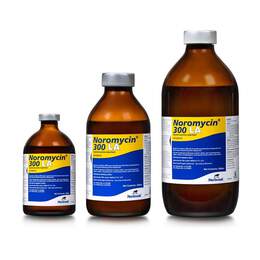 Noromycin 300 LA (Oxytetracycline) Injectable