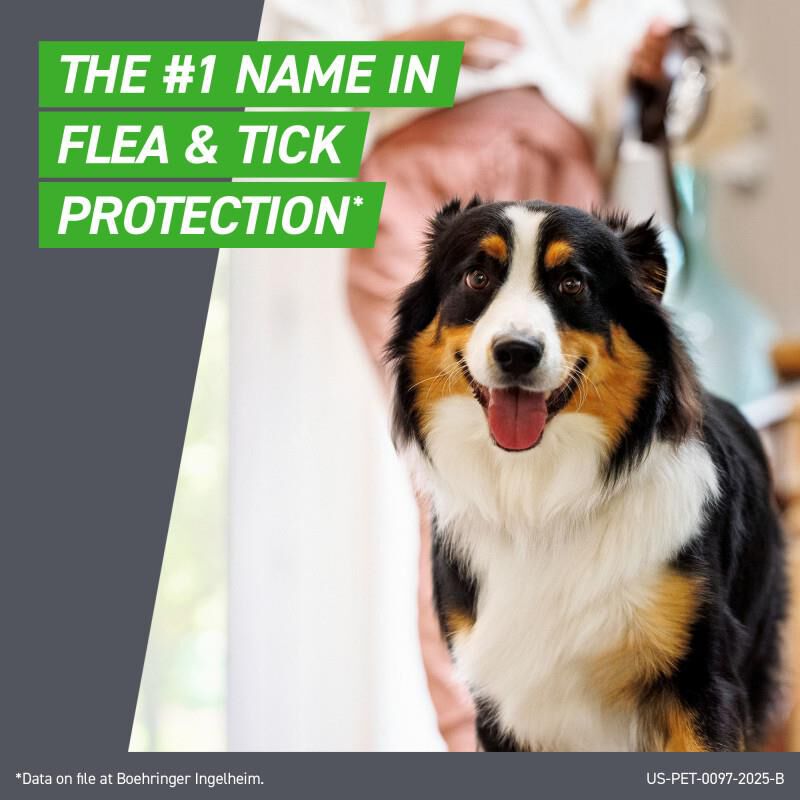 Frontline Plus For Dogs