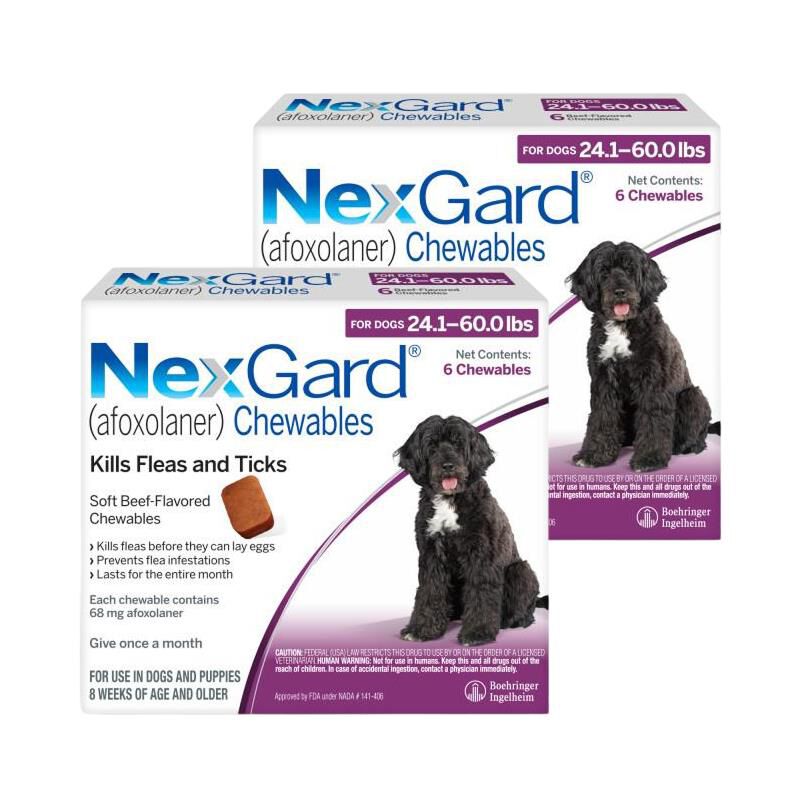 NexGard for Dogs 24.1 - 60.0 lbs, 12 Month Supply