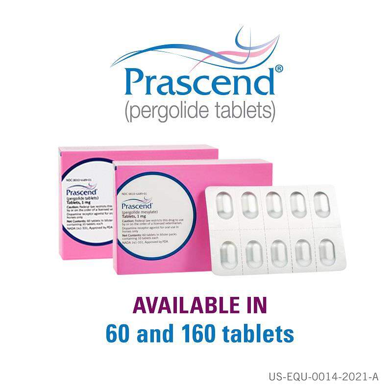 Prascend Tablets for Horses