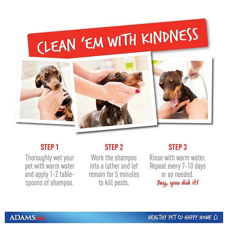 Adams Plus Flea & Tick Shampoo with Insect Growth Regulator, 12 oz