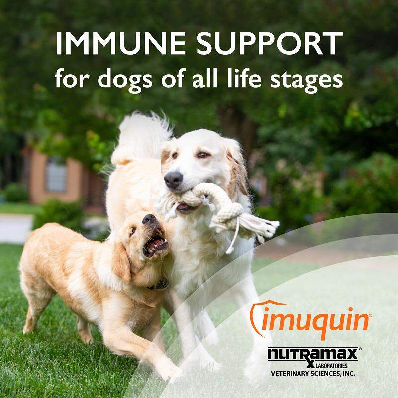 Imuquin Immune Health Supplement for Dogs and Puppies, 30 packets