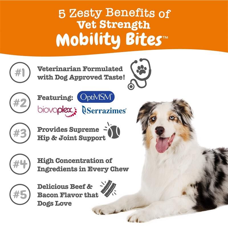 Zesty Paws Vet Strength Mobility Bites Hip & Joint Supplement, 90 Soft Chews
