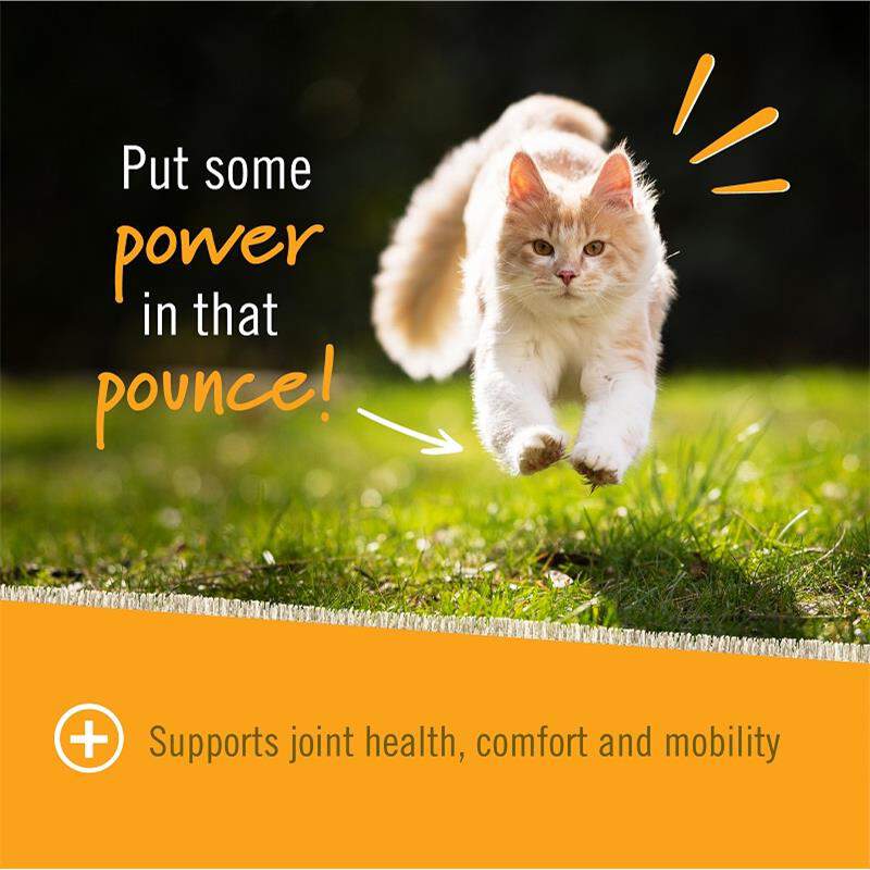 Pet Naturals Hip & Joint for Cats, 30 Soft Chews