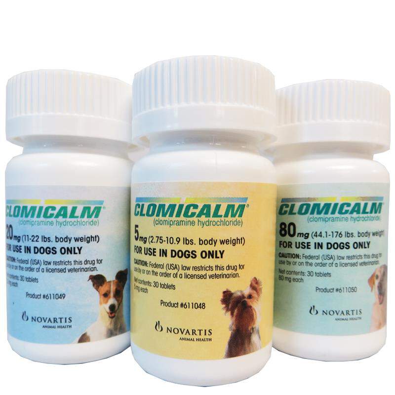 Clomicalm Tablets for Dogs
