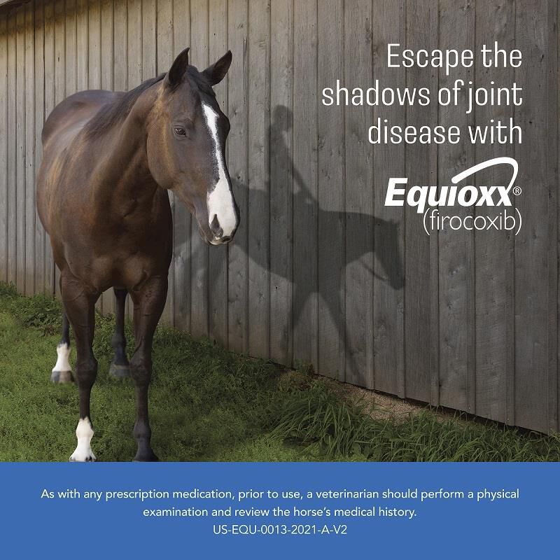 Equioxx, 57 mg Chewable Tablets