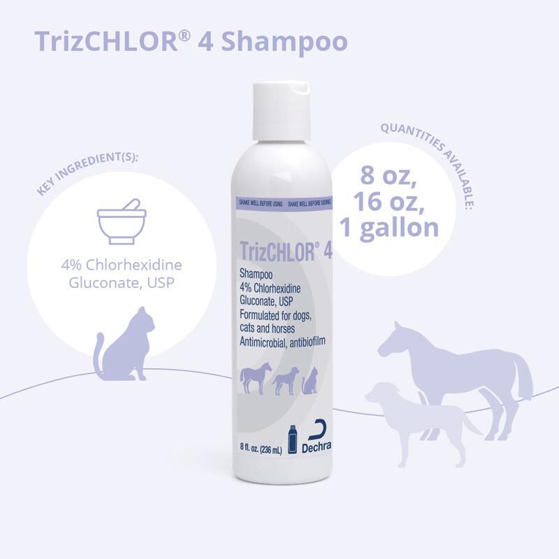 TrizCHLOR 4 Shampoo