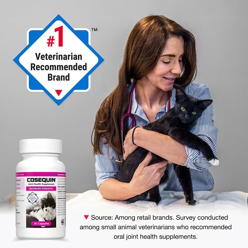 Cosequin Maximum Strength Joint Health Supplement for Cats, Sprinkle Capsules