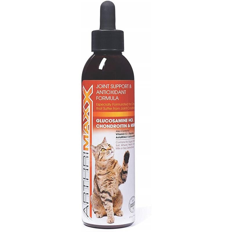 Arthrimaxx Joint Support and Antioxidant Liquid for Cats, 6 oz