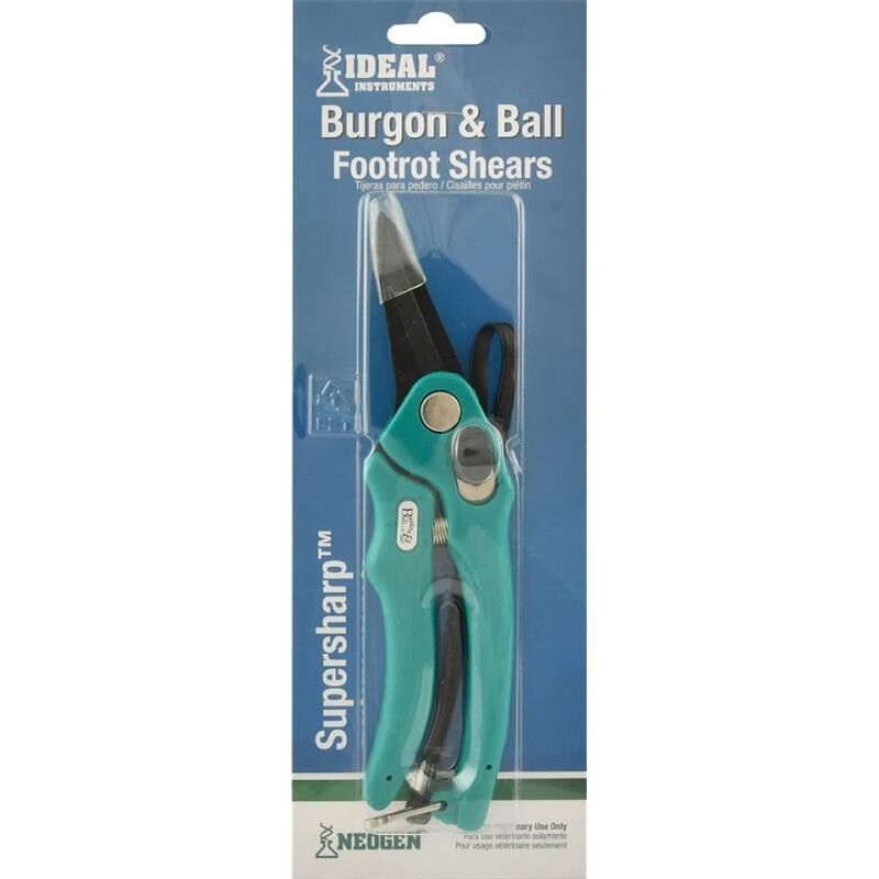 Hoof Rot Shears