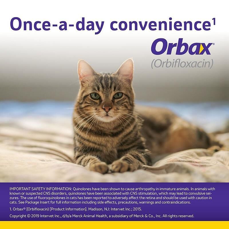 Orbax Tablet