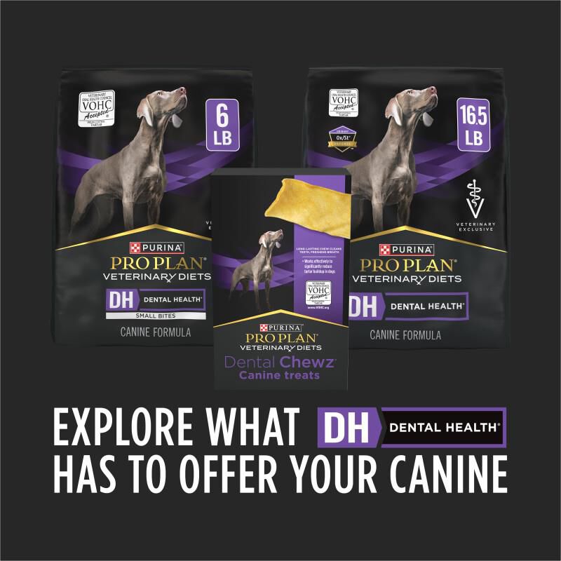 Purina Pro Plan Veterinary Diets OraChews Dental Care Treats for Dogs