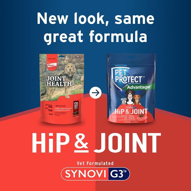 Synovi G3 Soft Chews