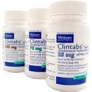 Clintabs (Clindamycin)