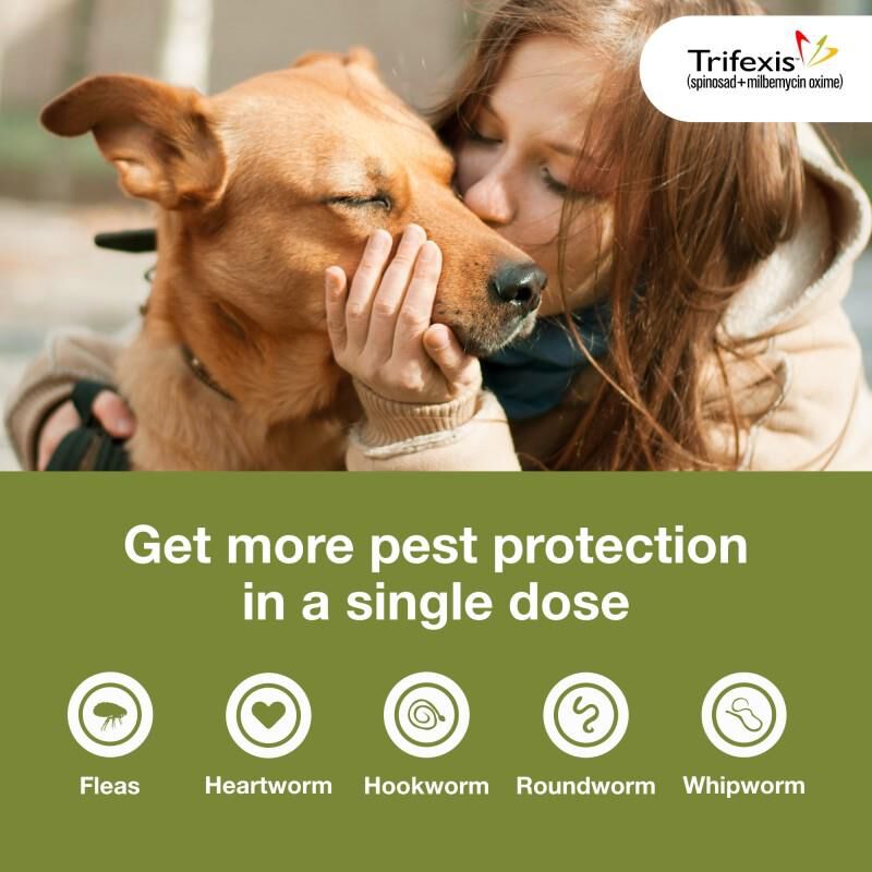 Trifexis Chewable Tablets for Dogs 20.1-40 lbs Green, 12 Month Supply