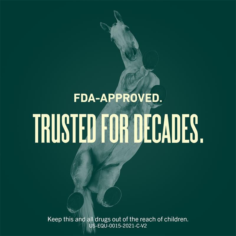 GastroGard for Horses