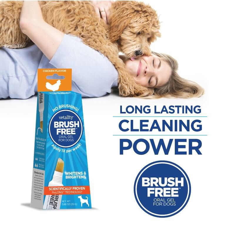 Vetality Brush Free Oral Gel for Dogs, 25 G