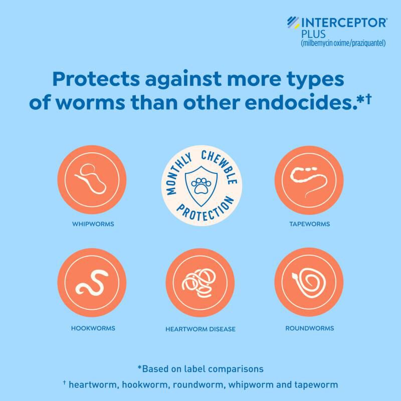 Interceptor Plus Chewable Tablets for Dogs