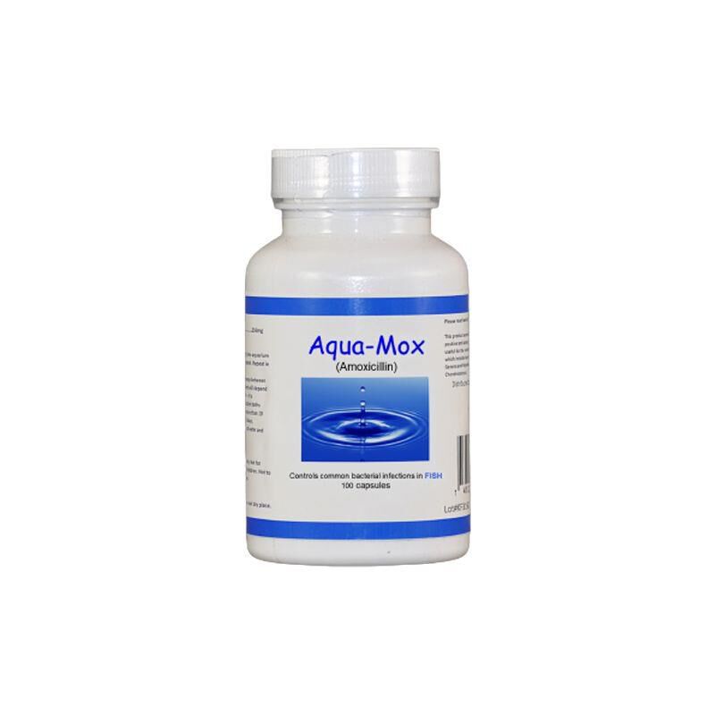 Aqua-Mox (Amoxicillin)