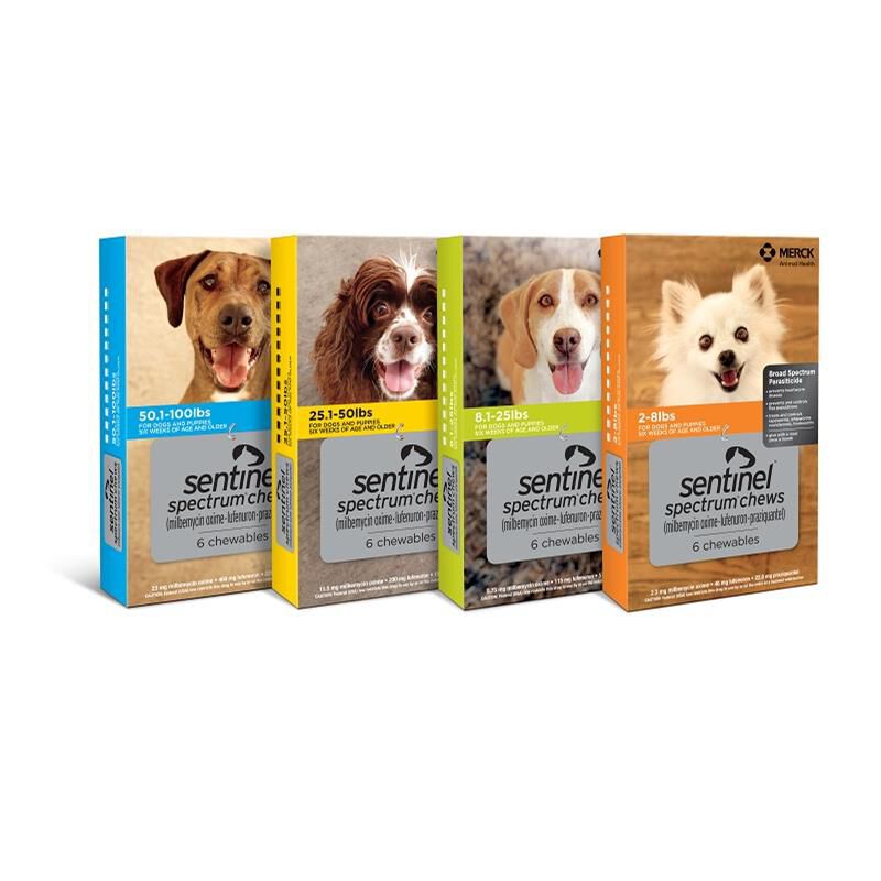 Sentinel Spectrum Chews for Dogs