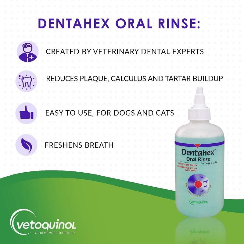 Dentahex Oral Rinse for Dogs and Cats with Chlorhexidine 0.12% and Zinc, 8 oz
