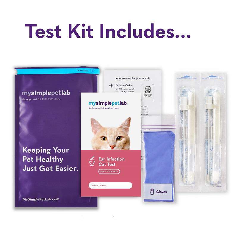 MySimplePetLab Ear Infection Cat Test Kit